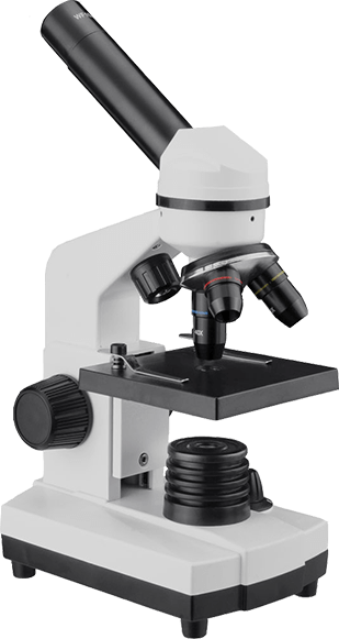 Laboratoire LAMC